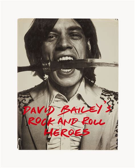 ysl rock and roll|DAVID BAILEY'S ROCK AND ROLL HEROES .